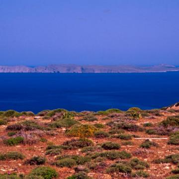 Η Γιανισάδα.