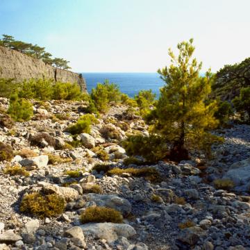 The exit of Klados gorge