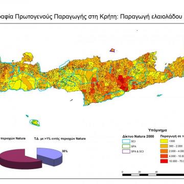 Παραγωγή ελαιολάδου στις ΤΚ της Κρήτης