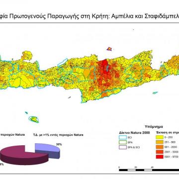 Area covered by vines in the MCDs of Crete