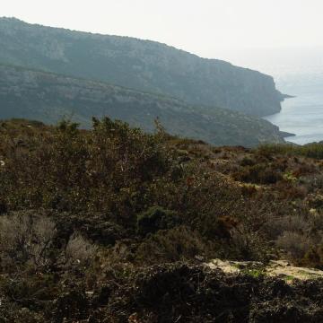 Η νότια ακτογραμμή της περιοχής.