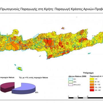 Παραγωγή κρέατος αρνιών και προβάτων στις ΤΚ της Κρήτης