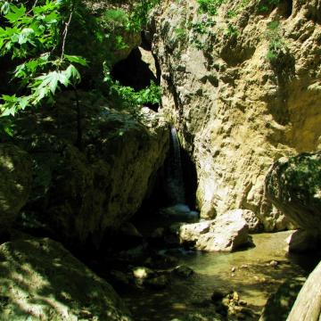 Patsos gorge, riparian vegetation