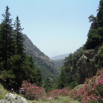 Agias Eirinis gorge