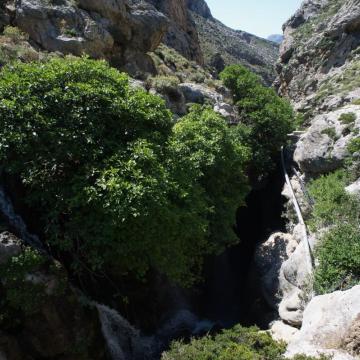 Το φαράγγι του Κουρταλιώτη παρουσιάζει μόνιμη ροή νερού σχεδόν όλο το χρόνο.