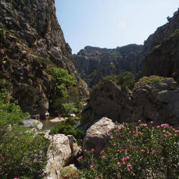 Preveli gorge