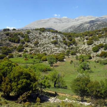 Kalikas plateau