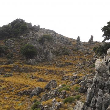 Kynigiana area, at the north side of Psiloritis mount