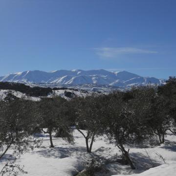 General view of Mount Idi