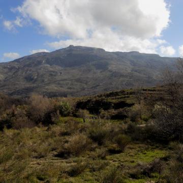 Eastern slopes of mount Kedros