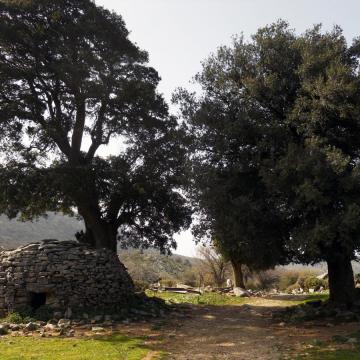 Μιτάτο στο Κρανιώτικο Αόρι.