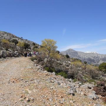 Abelakia area, next to Rouvas forest