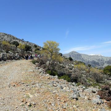 Το φαράγγι του Ρούβα, όπως φαίνεται από τη θέση Αμπελάκια Ρούβα.