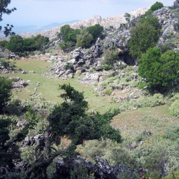 Θέση Βιόλα, κοντά στην περιοχή του Κάτω Ψυχρού Κυνηγιανών.