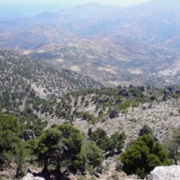 A view of the southwestern slopes of Psiloreitis