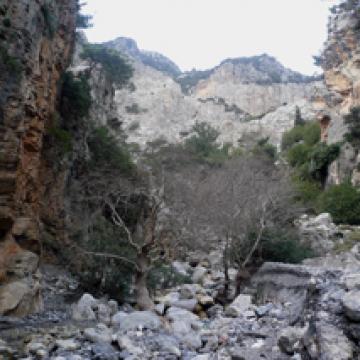 Rouvas gorge, next to Zaros village