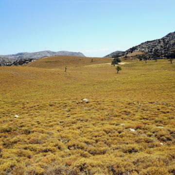 Plateau Pentaxeris, northwest of Kroussonas