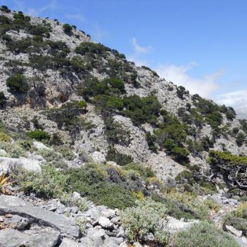 On the road to Koudouma monastery