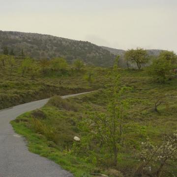 Photo from the excursion at the Lasithi plateau