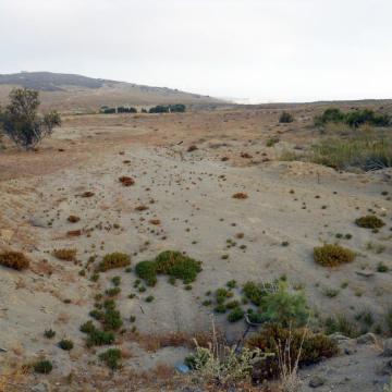 The southernmost section of Geropotamos estuary