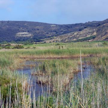 The wetland of Afrathias