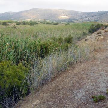 Part of Geropotamos Estuary