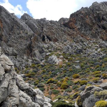 Between Tsoutsouras and Maridaki