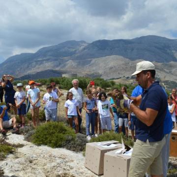 Στιγμιότυπο από την απελευθέρωση των πουλιών