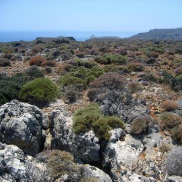 Zakros mountains, Choiromandres area