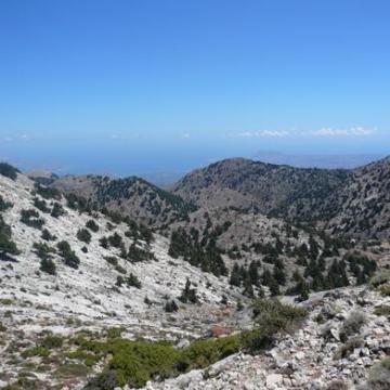 Θυμόλακκος, στο βάθος διακρίνεται το Ακρωτήρι.