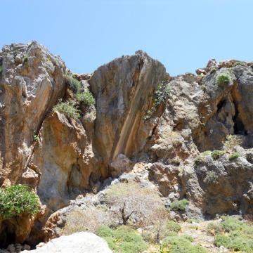 Στην πλαγιά ανάμεσα Τσούτσουρος-Μαριδάκι.