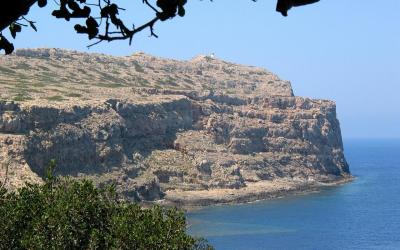 The island Agria Gramvousa