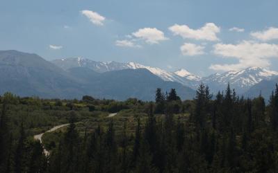 Άποψη του εκτεταμένου κυπαρισσόδασους του Φρε.