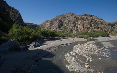 The palmforest of Preveli