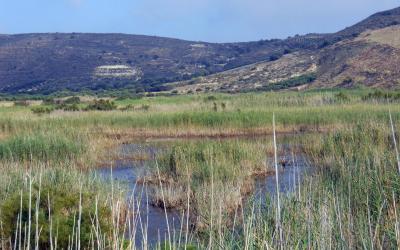 The wetland of Afrathias